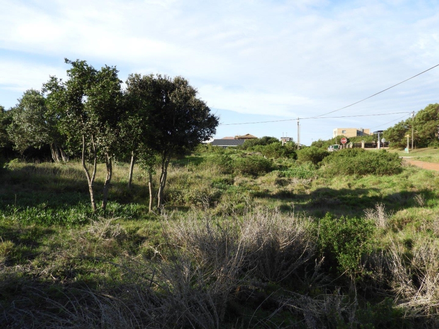 0 Bedroom Property for Sale in Paradise Beach Eastern Cape